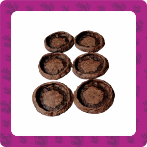 Sopes de Maíz Morado